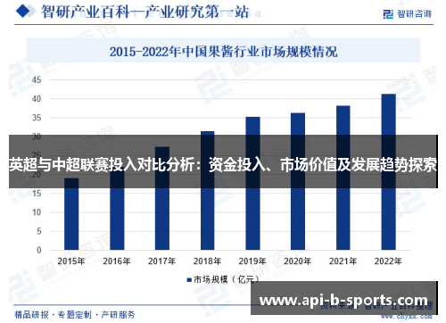 英超与中超联赛投入对比分析：资金投入、市场价值及发展趋势探索